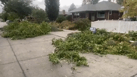 Strong Winds Leave Salt Lake City Residents Without Power