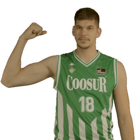 Liga Endesa Basketball Sticker by ACB