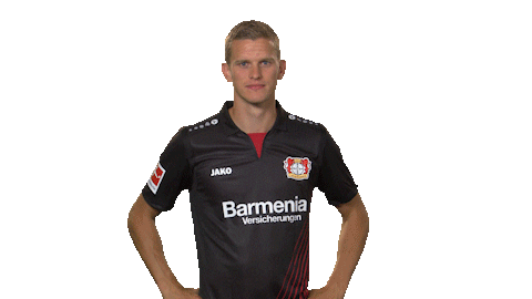 hear bayer leverkusen Sticker by Bundesliga
