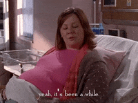 season 5 netflix GIF by Gilmore Girls 