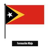 Timor-Leste Flag Sticker by Formación Ninja