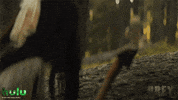 Amber Midthunder Hulu GIF by 20th Century Studios