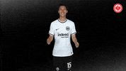 Happy Celebration GIF by Eintracht Frankfurt