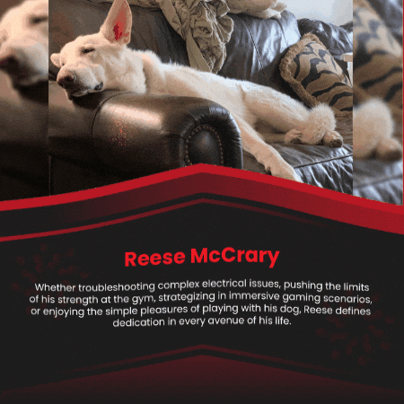 reesemccrary giphygifmaker GIF