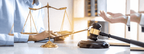 williamwestseegmiller giphygifmaker giphyattribution william west seegmiller GIF