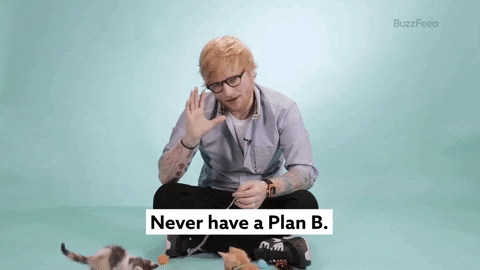 Ed Sheeran Kittens GIF by BuzzFeed