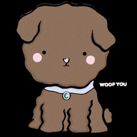 copomx dog dogs puppies perro GIF