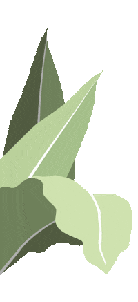 Green Sticker by Flower Farm