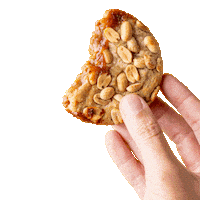happycookieshop cookie happycookie cookie vegan Sticker
