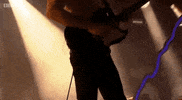 bbcradio1 bbc radio 1 radio 1 radio1 middlesbrough GIF