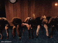 Bulgaria Dara GIF
