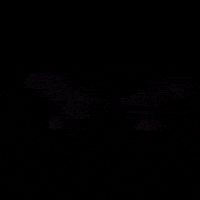 Reso Falter GIF by RSNZRFLXN
