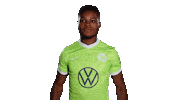 Football Swipe Up Sticker by VfL Wolfsburg