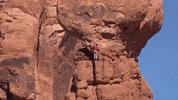 utah GIF