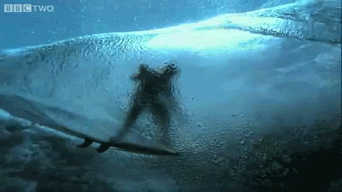Surfing GIF