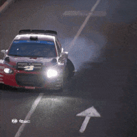 Never Give Up Wheel GIF by FIA European Rally Championship