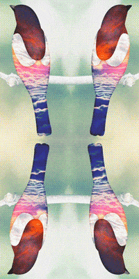 bird fly GIF by Morena Daniela