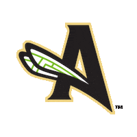 Baseball Augusta Sticker by GreenJackets