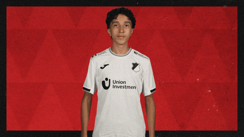 Tsg Hoffenheim Applause GIF by Bundesliga