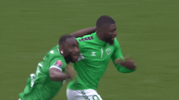Joie Asse GIF by AS Saint-Étienne