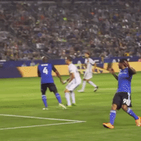 lavsj GIF by LA Galaxy