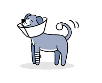 Happy Dog Sticker by furkinpetinsurance
