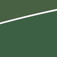 Touch Down Super Bowl GIF by Pudgy Penguins