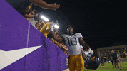 West Virginia Sport GIF by WVU Sports