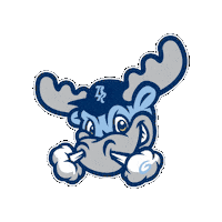 bluerocks baseball wilmington blue rocks wilmington blue rocks Sticker