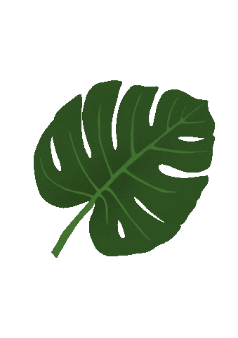 Letterjule giphyupload green plant leaf Sticker