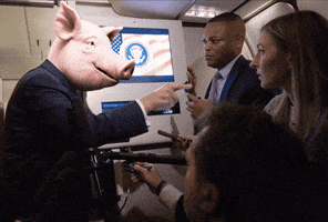 Piggy GIF
