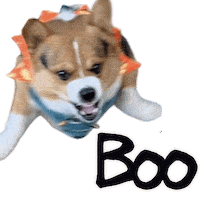 Halloween Hallo Sticker