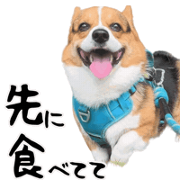 Corgi Milo Sticker