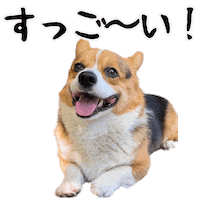 Corgi Wow Sticker