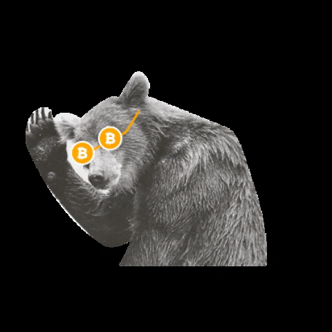 labitcoineta giphygifmaker bear bitcoin oso GIF
