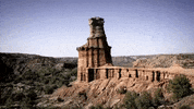 texas GIF