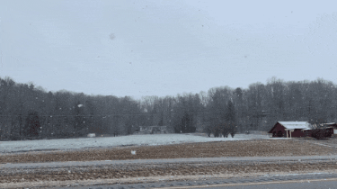 baroowoofr giphygifmaker giphygifmakermobile GIF