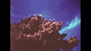Music Video Design GIF