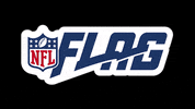 NFLFLAG  GIF