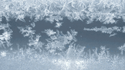 GIF by Central Coast Honda Dealers