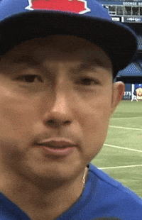 Toronto Blue Jays Baseball GIF