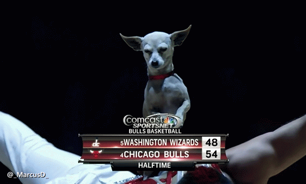 nba photos GIF by RedEye Chicago
