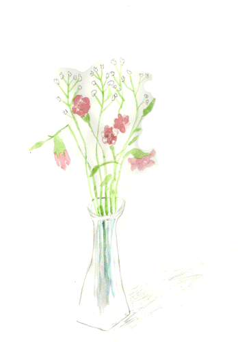 Art Illustration GIF by Katie Drew