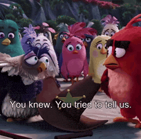 Angry Birds Prediction GIF