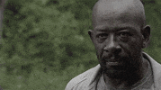 The Walking Dead Zombie GIF by AMC Latinoamérica