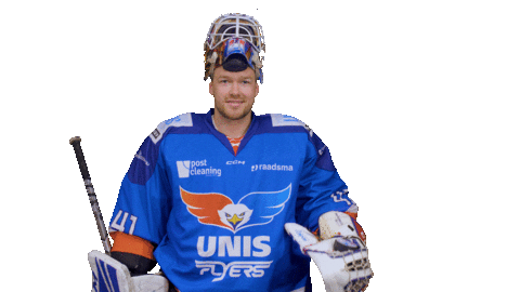 Goal Eagles Sticker by UNIS Flyers