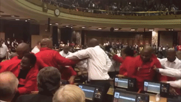 Brawl Breaks Out in Parliament During South Africa's State of the Nation