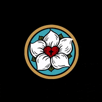 PleasantlyCrafted pleasantly crafted samantha bender samanthabender pleasantlycrafted GIF