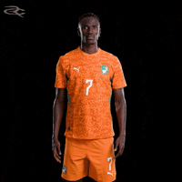 Fifa World Cup Elephants GIF by Respective