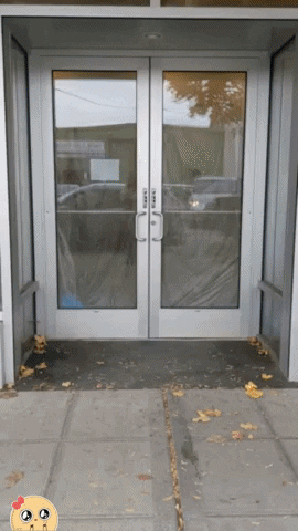 Clovertoys giphygifmaker giphyattribution GIF